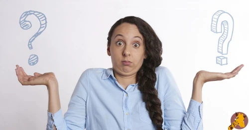 achat ou location d'une ponceuse girafe